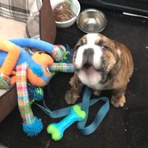 Meet your Posher, Jason